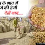 Soybean Price Increase