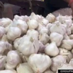 Garlic Onion Mandi Price