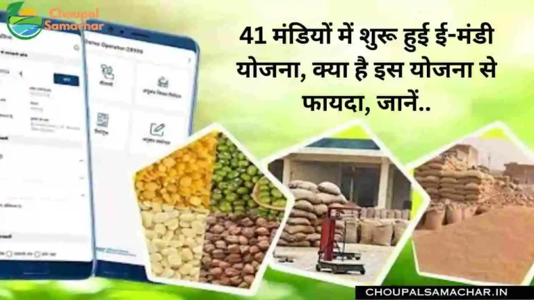 E-Mandi Scheme