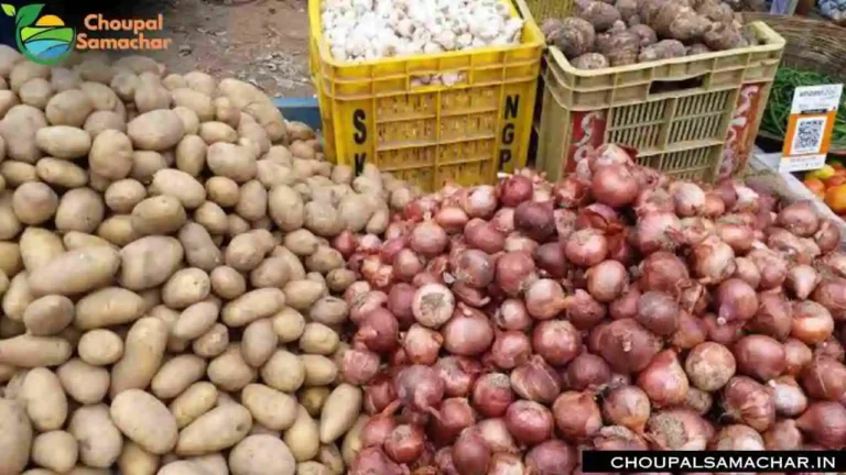 Onion Garlic Price