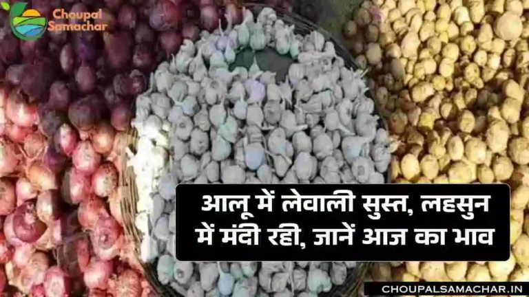 Commodities Price