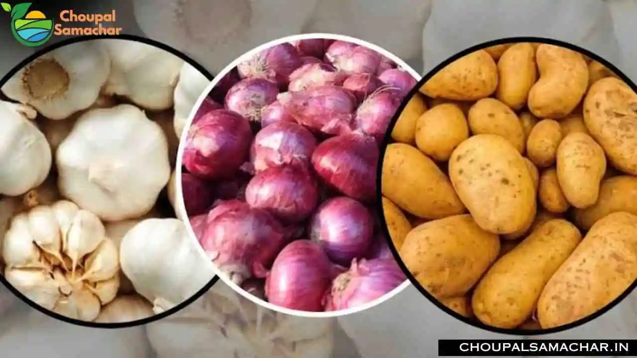 Onion Garlic Price