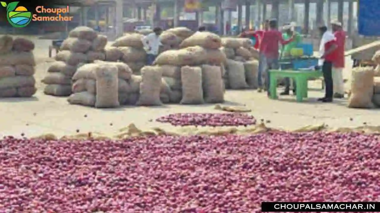 Today Garlic Onion Price