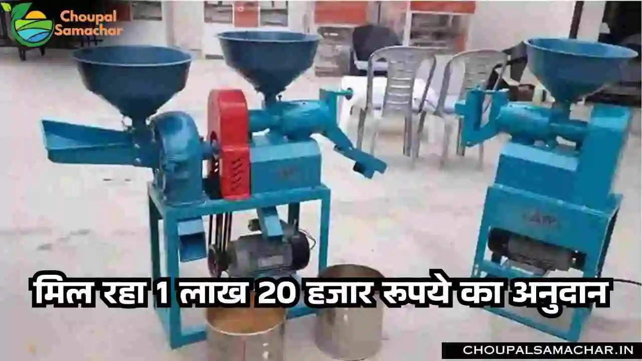Subsidy Scheme