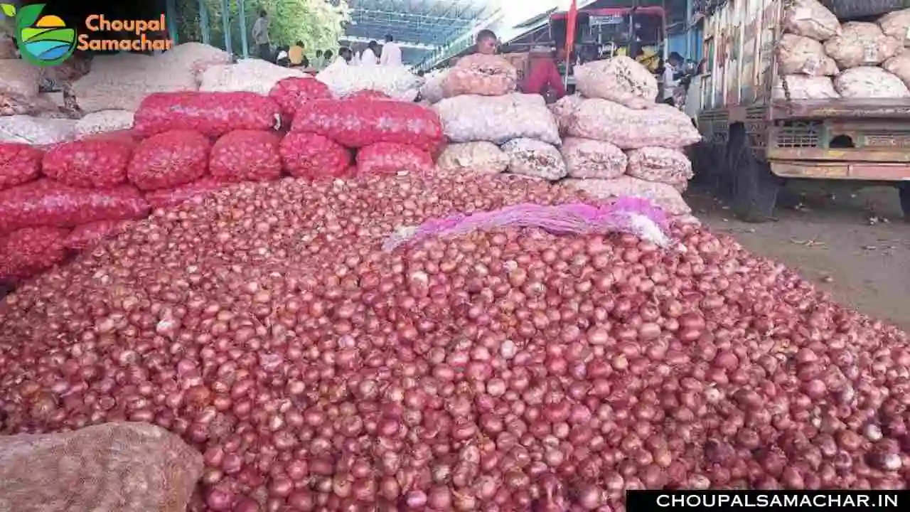 Mandi Price