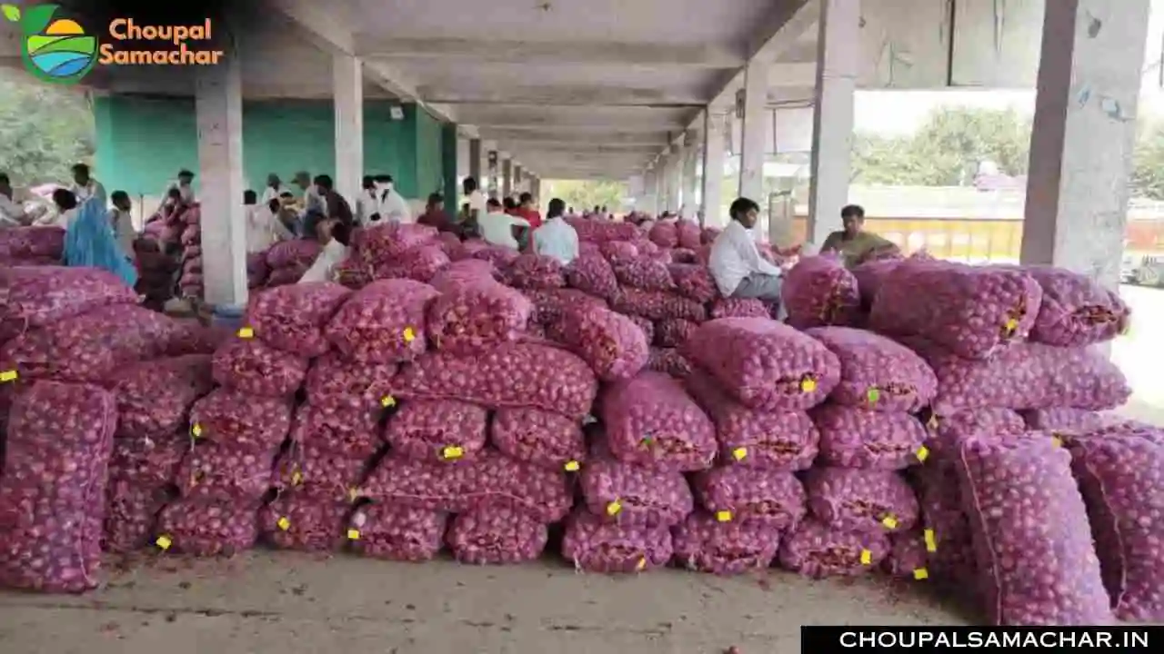 Onion Garlic Mandi Price