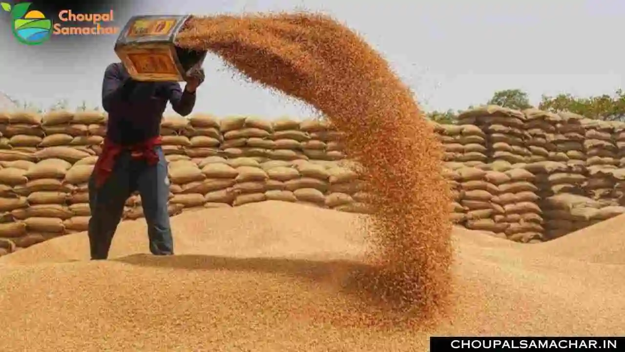 Wheat Prices