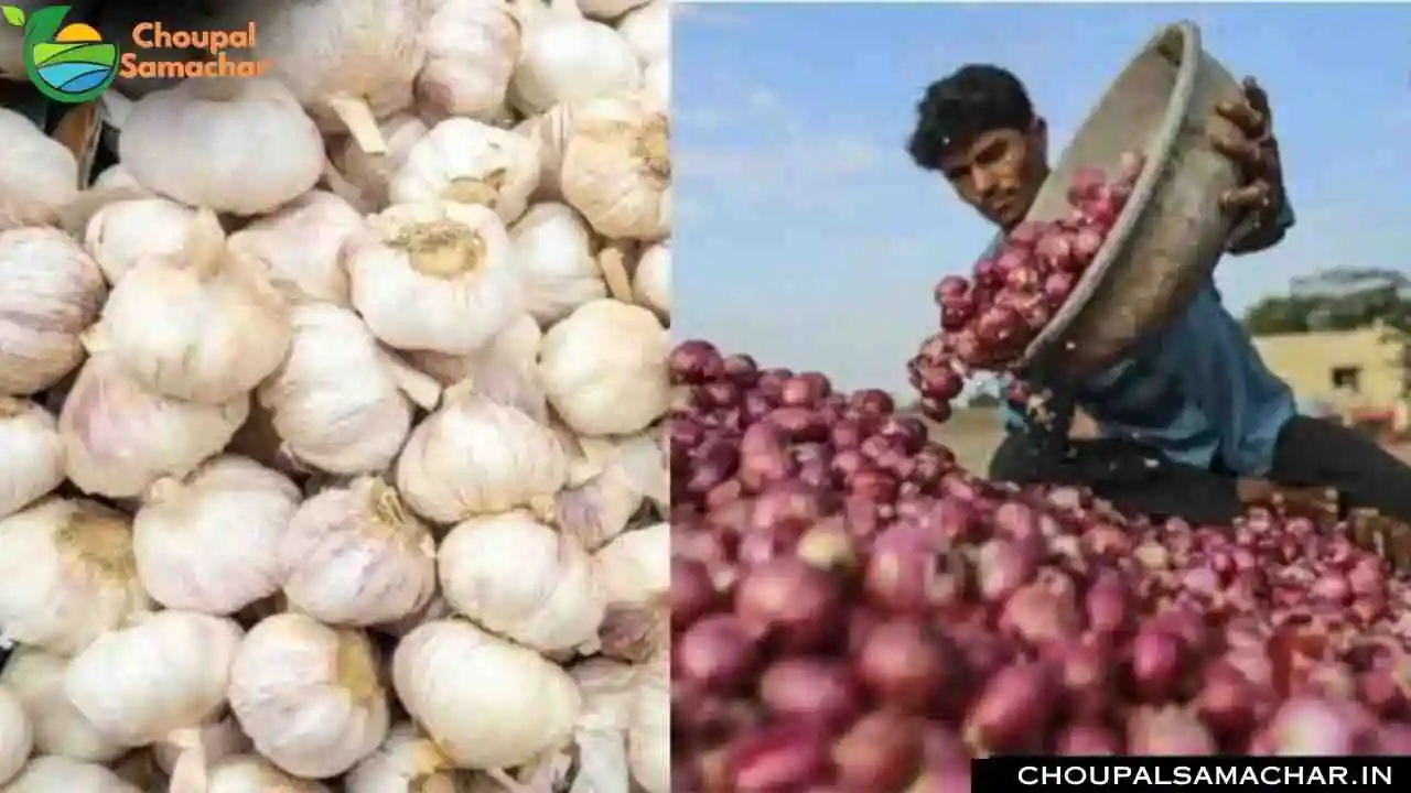 Onion Garlic