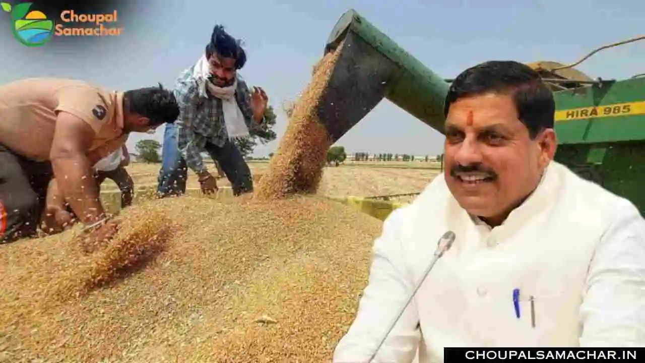 Wheat Procurement
