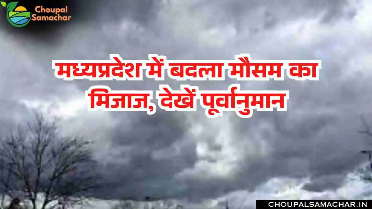 Weather Forecast