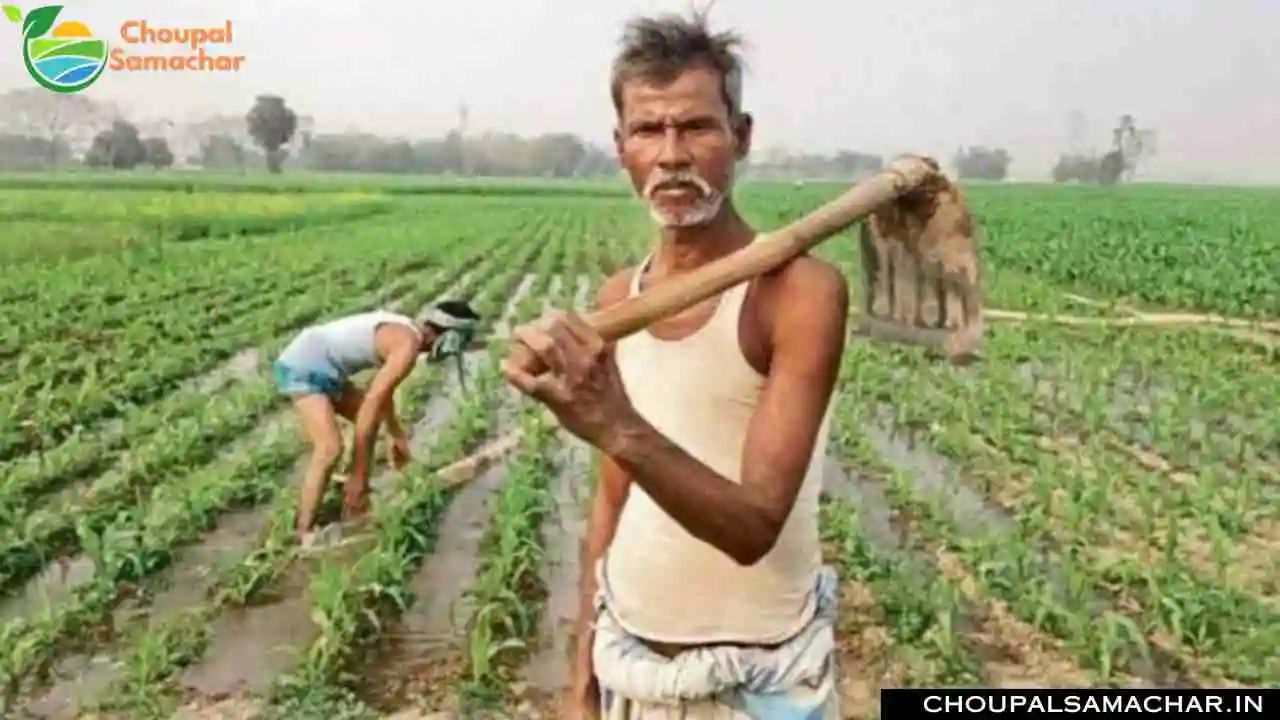 Rajasthan Budget