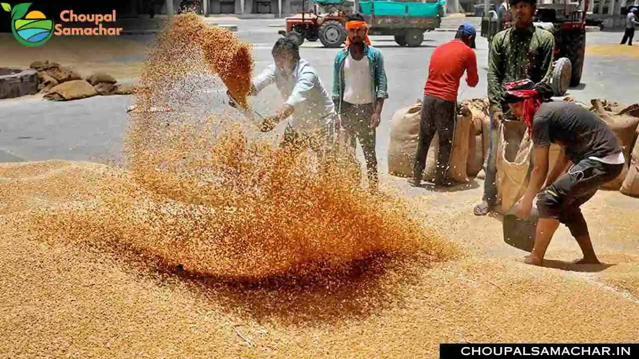 Wheat Prices