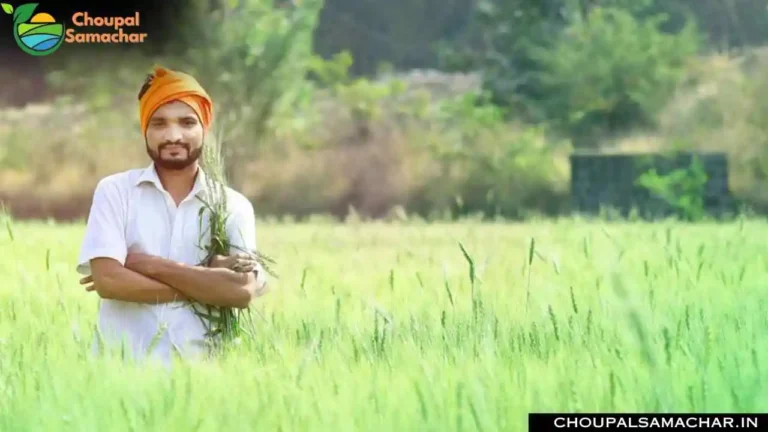 Kisan Samman Nidhi Scheme