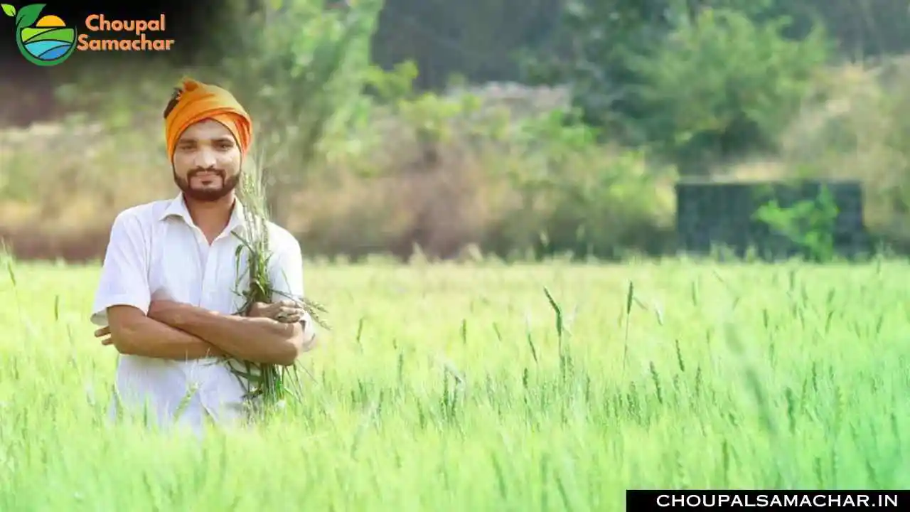 Kisan Samman Nidhi Scheme