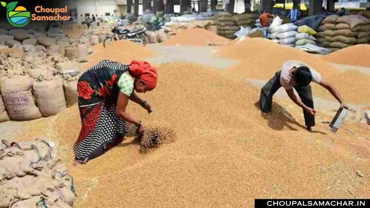 Wheat Price