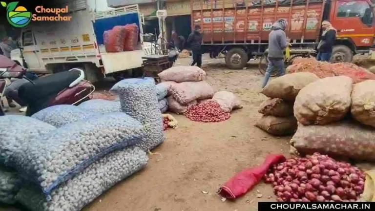 Onion Garlic Mandi Price