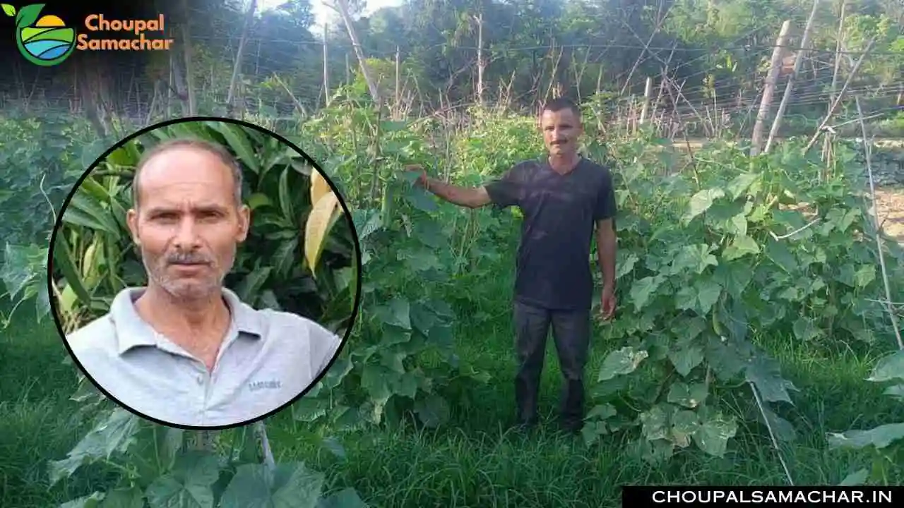 Farmer Success Story