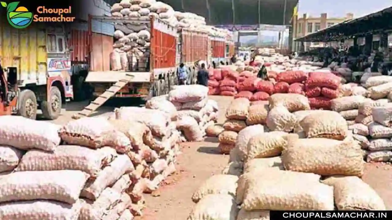 Onion Garlic Price