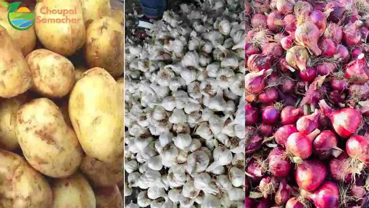 Mandi Commodity Price