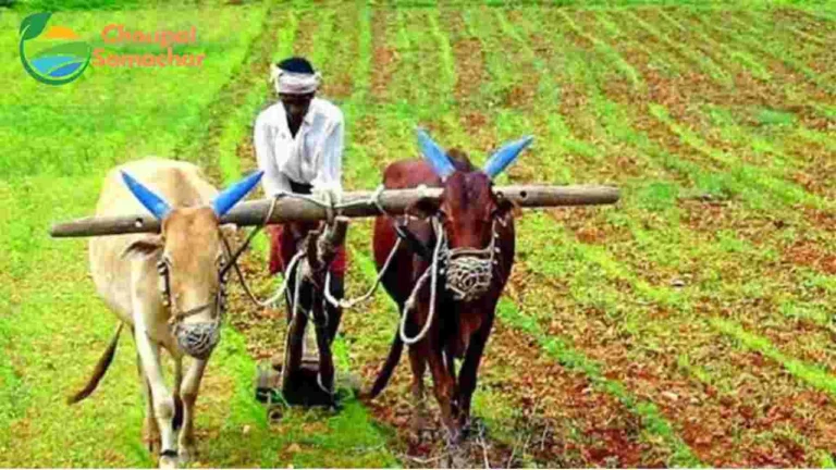 Agri Scheme 2025