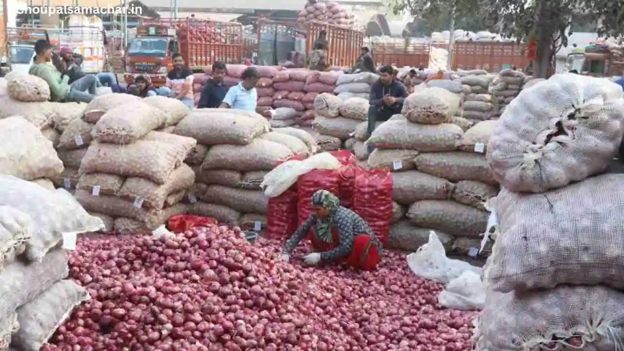 Today Mandi Price