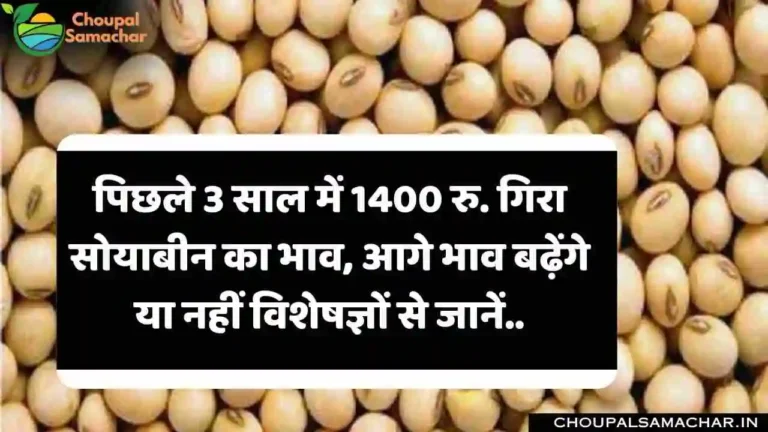Soybean Price