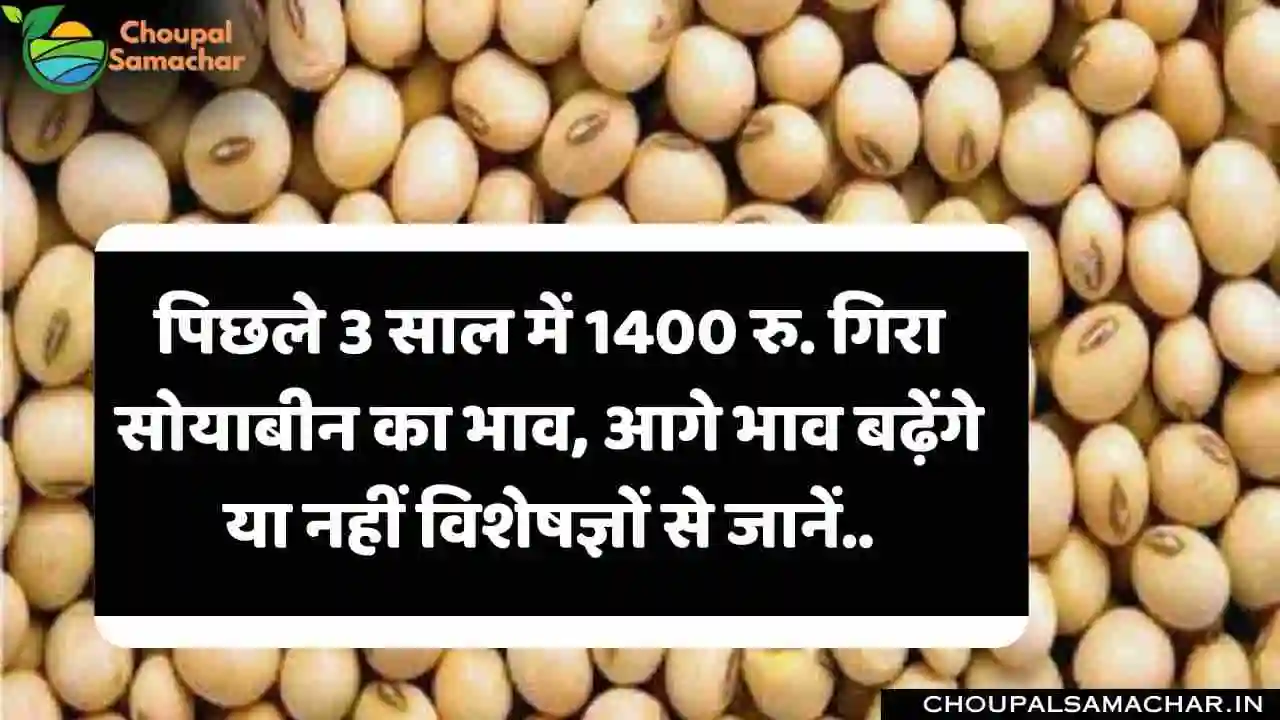 Soybean Price