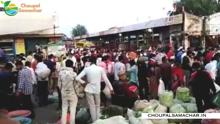 Today Mandi Price