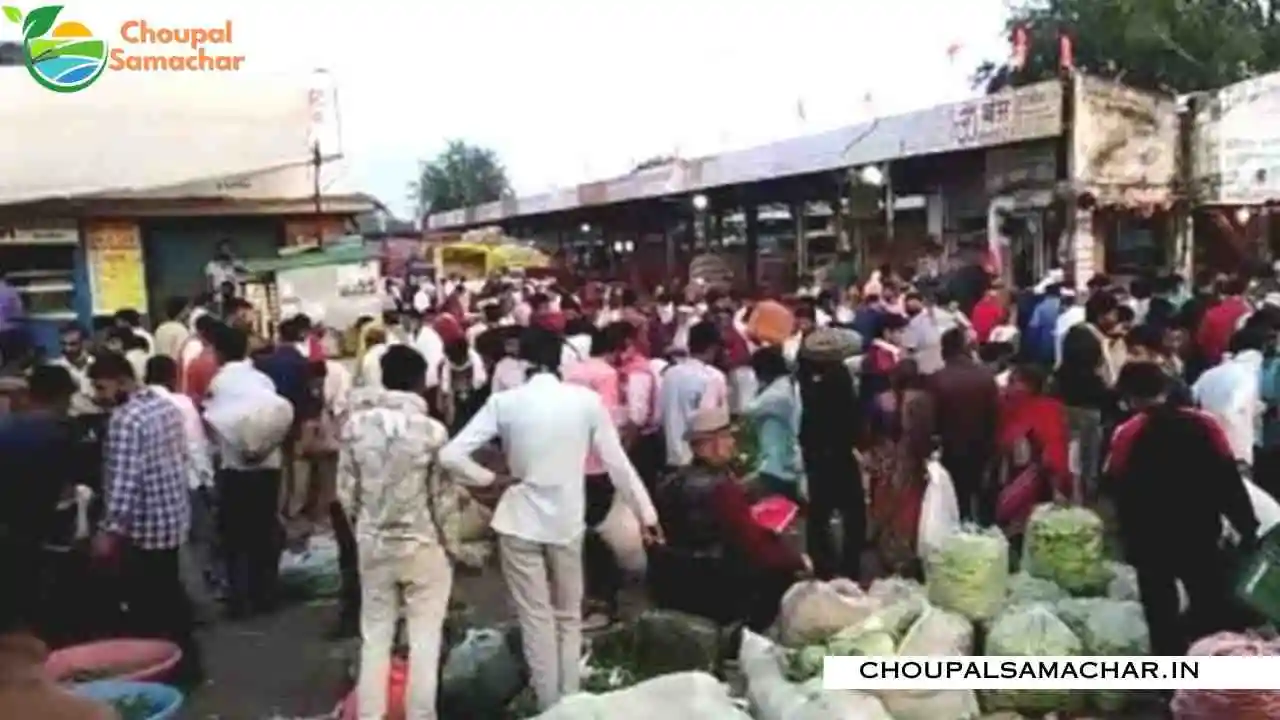 Today Mandi Price