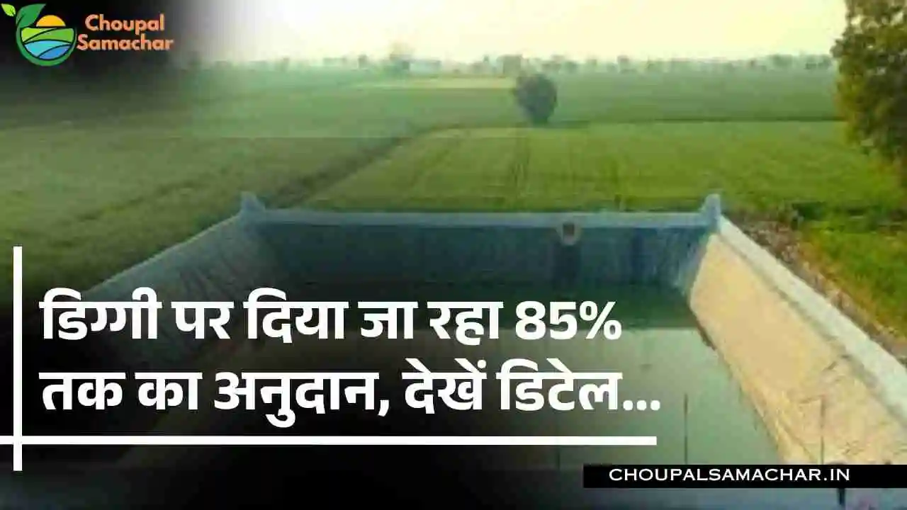 Diggy Subsidy Scheme