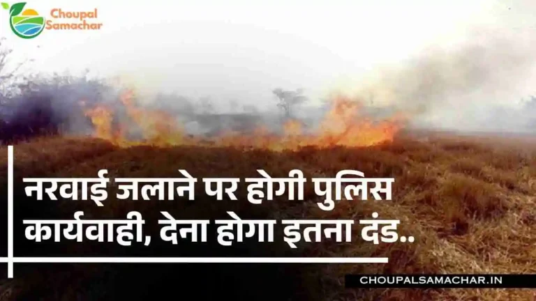 Penalty for burning stubble