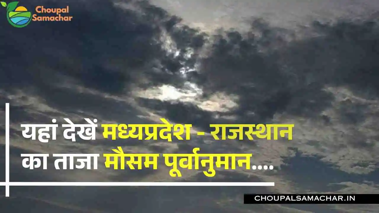 Weather info