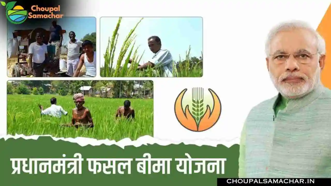 Pm Crop insurance