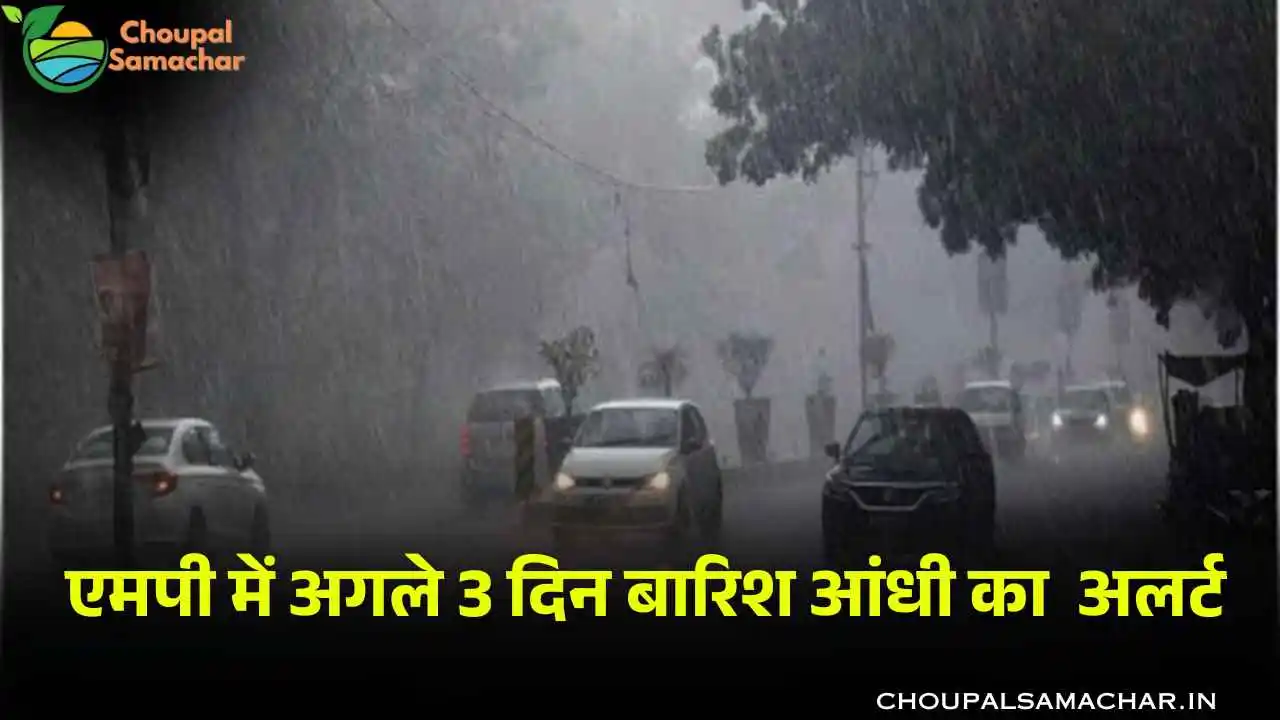 Rain Forecast
