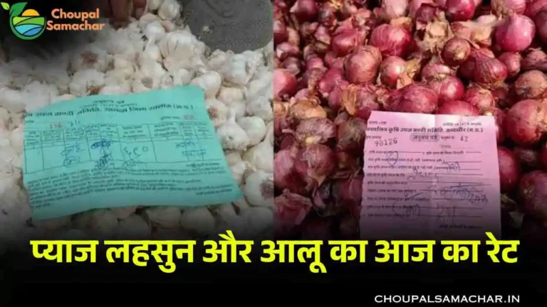 Onion Garlic Mandi Price