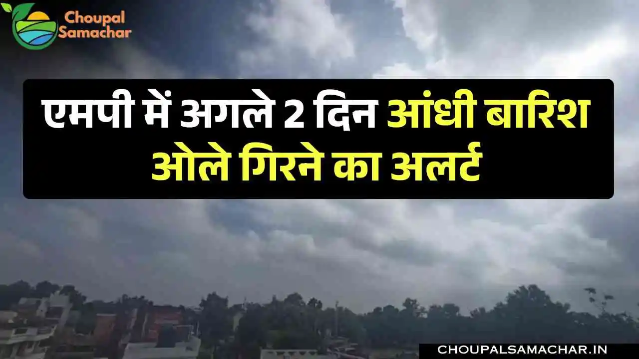 MP Today Weather