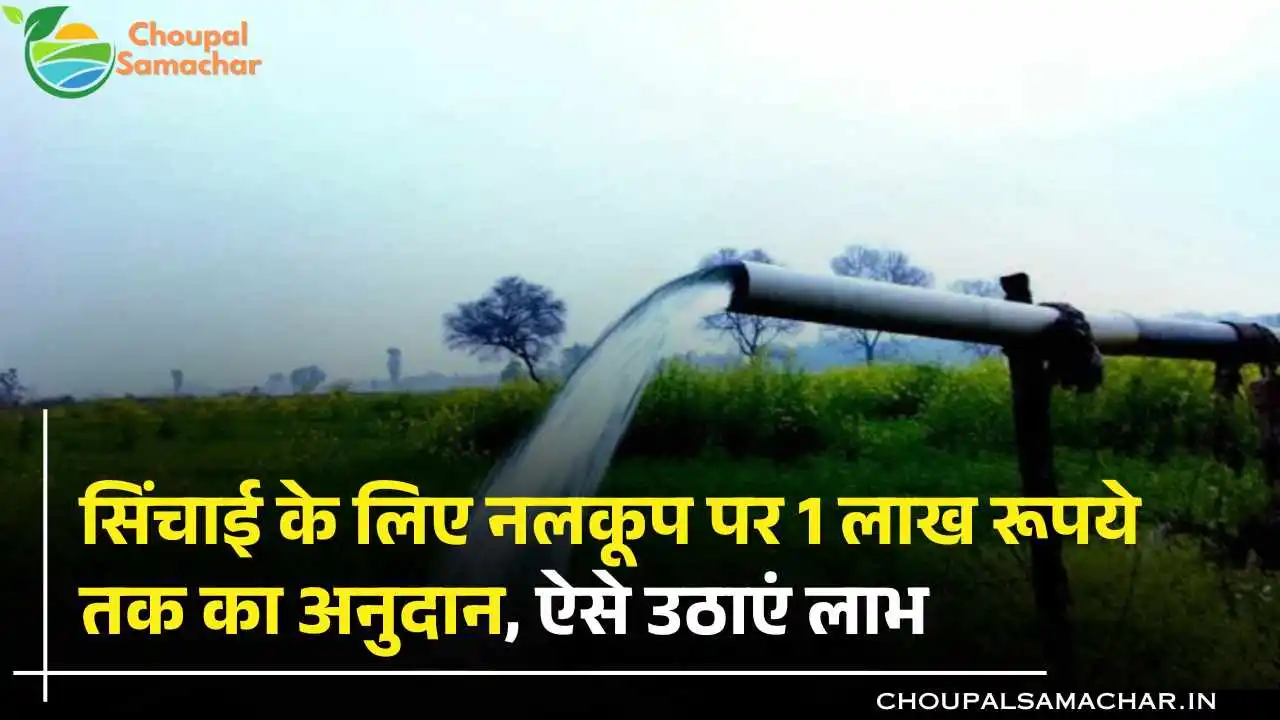 Tube Well Subsidy Scheme