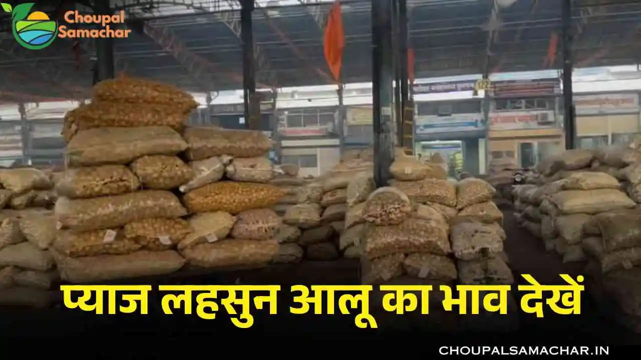 Onion Garlic Price