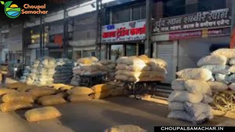Mandi Commodities Price