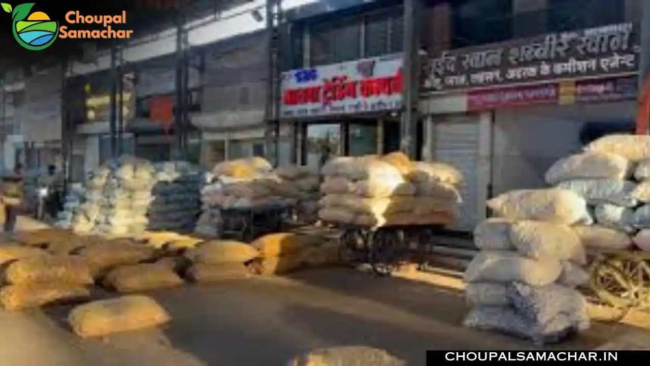 Mandi Commodities Price