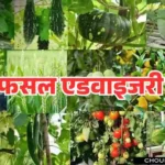 Crop Advisory