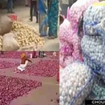 Garlic Onion Price