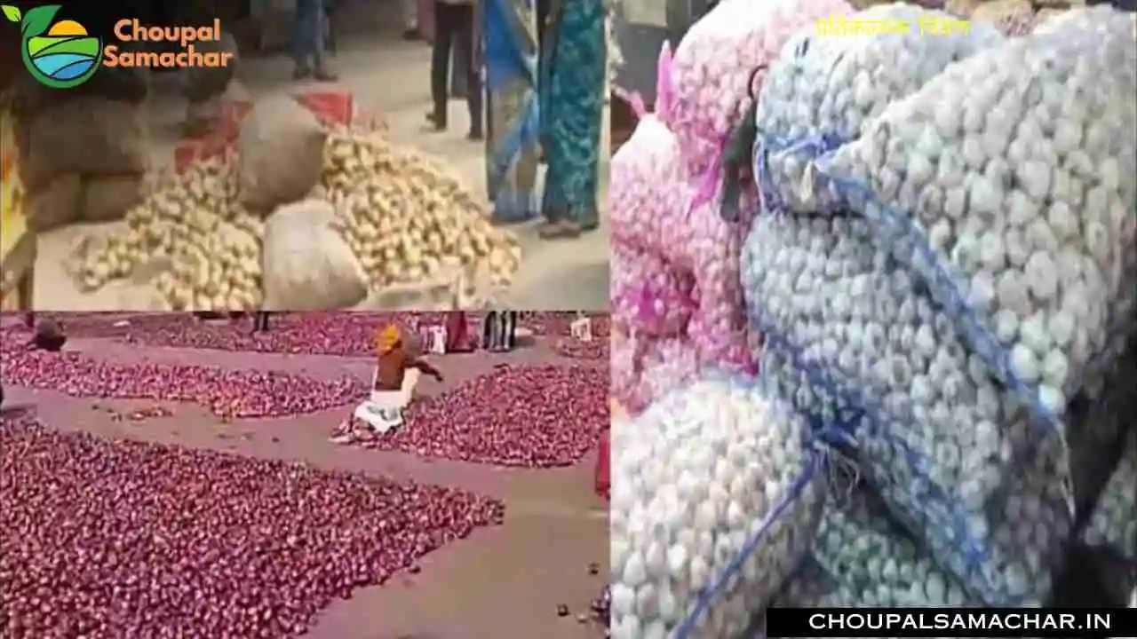 Garlic Onion Price