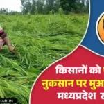 Crop Insurance