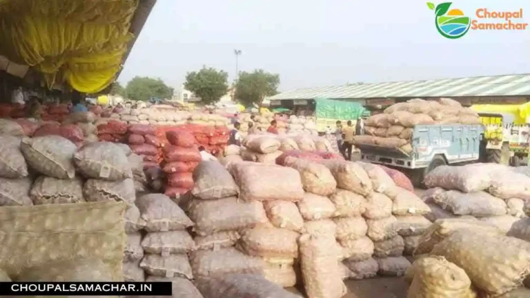 Onion Garlic Price