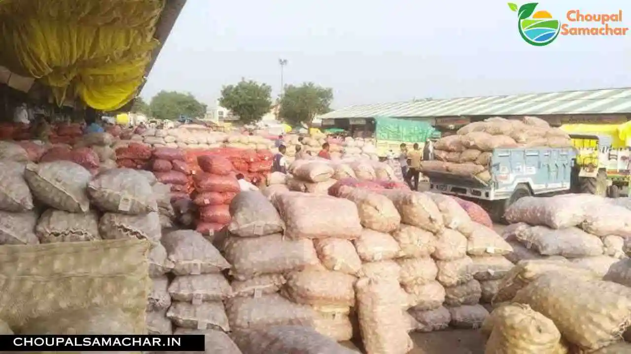Onion Garlic Price