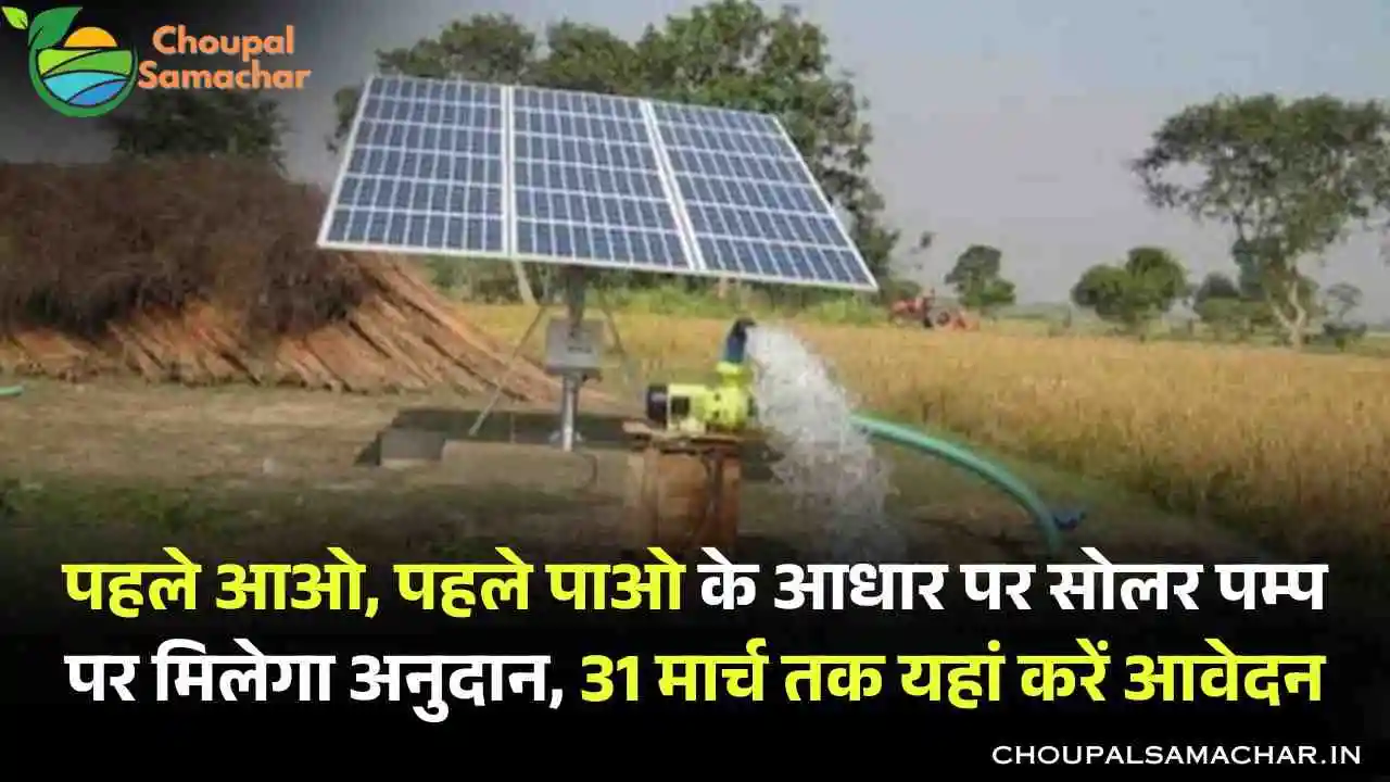 Solar Pump Subsidy