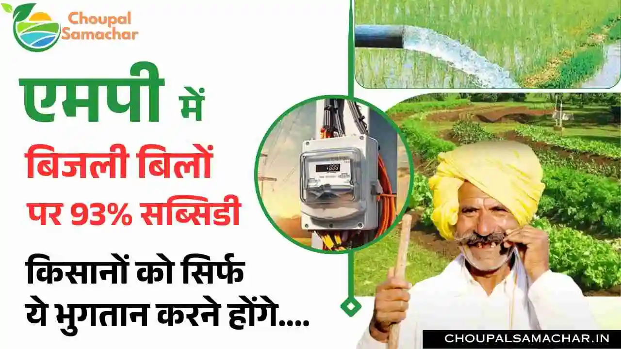 Electricity bills Subsidy