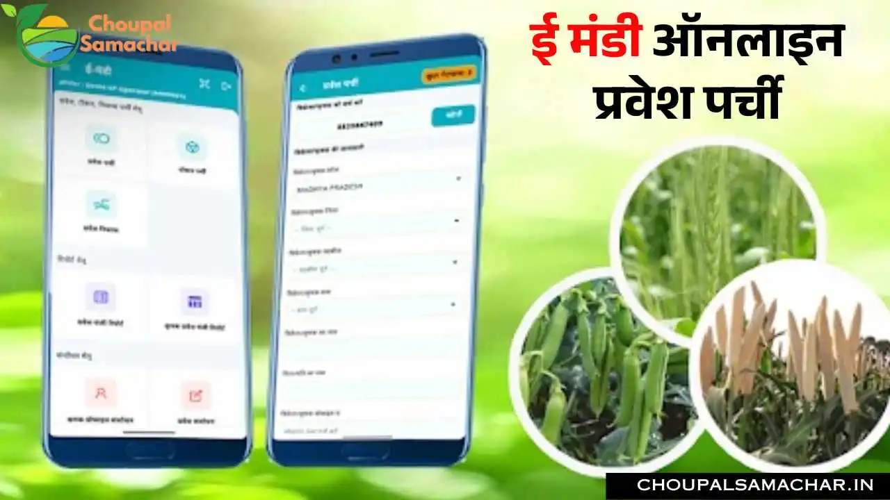 e Mandi Admission slip