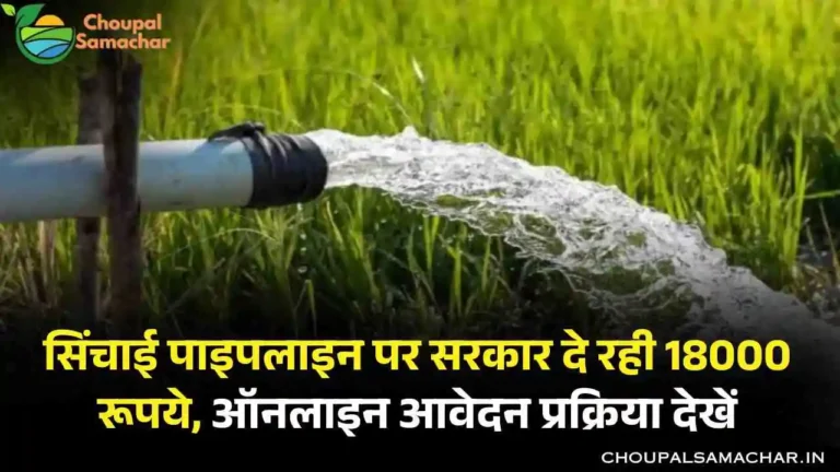 Pipeline Subsidy Scheme
